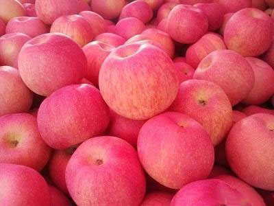 jpeg 1.jpeg