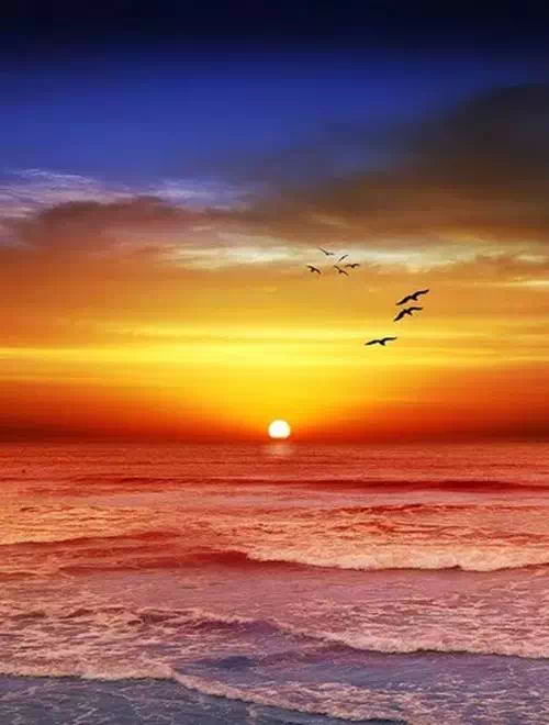 1542251388502120.png IMG_4435.PNG