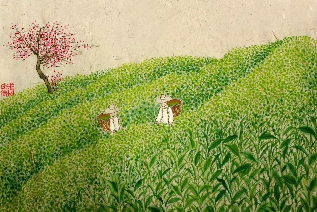 1545009846828467.jpg 1545009846828467.jpg