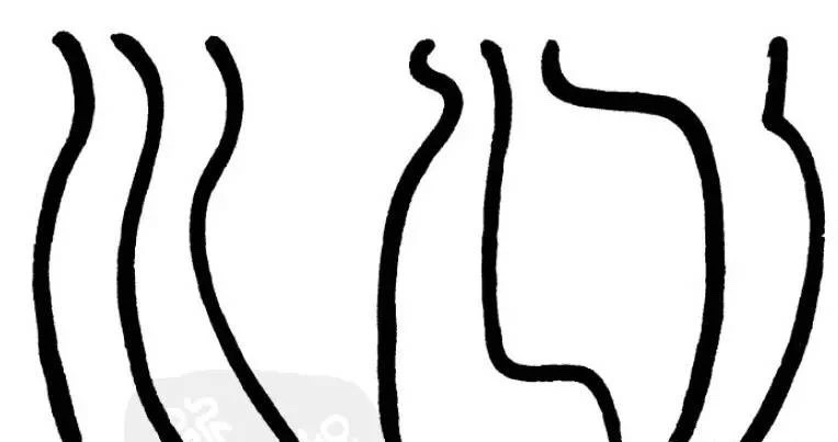 1545035795557918.jpg 1545035795557918.jpg