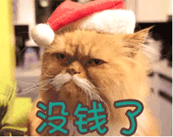1548816928204485.gif 1548816928204485.gif