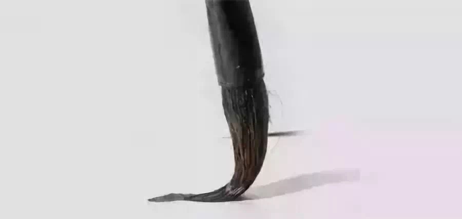 1548926154635502.jpg 1548926154635502.jpg