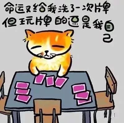 1549878774706819.jpg 1549878774706819.jpg