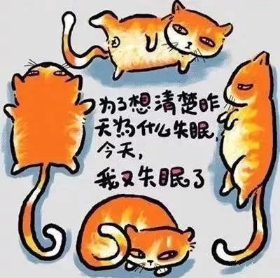 1549878960130571.jpg 1549878960130571.jpg