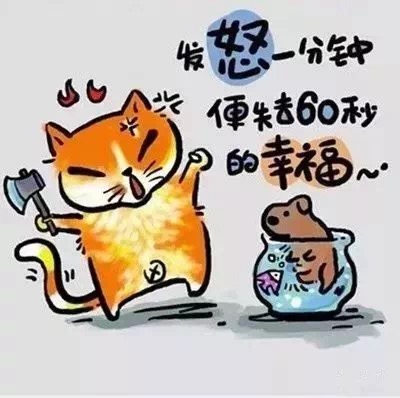 1549878978669510.jpg 1549878978669510.jpg
