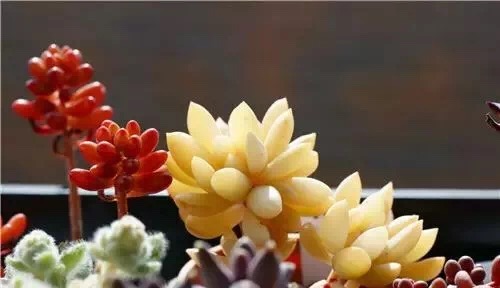 1550647698532397.jpg 1550647698532397.jpg