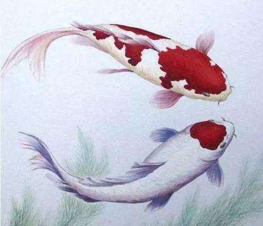 1551065596727869.jpg 1551065596727869.jpg