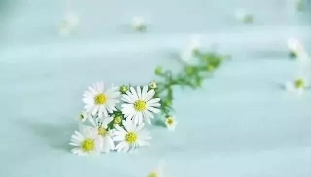 1551238976464270.jpg 1551238976464270.jpg