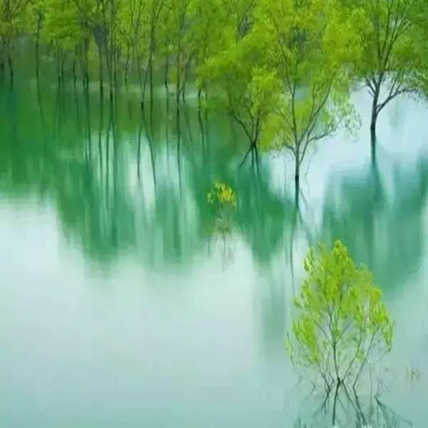  心越平静，你越快乐，智慧越高，你越通融