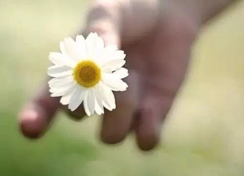1553568317494824.jpg