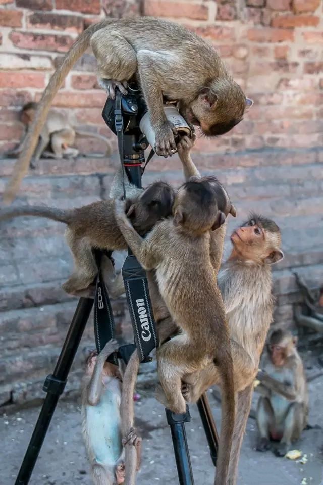 1557477832849466.jpg 1557477832849466.jpg