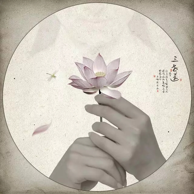 1560998242723290.jpg 1560998242723290.jpg