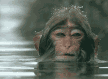 1562922819510678.gif 1562922819510678.gif
