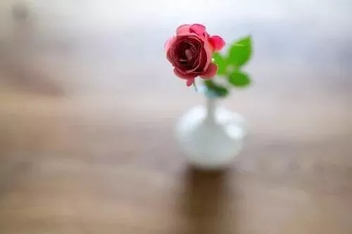 1563266247538500.jpg 1563266247538500.jpg