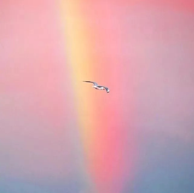 1566457920337479.jpg 1566457920337479.jpg